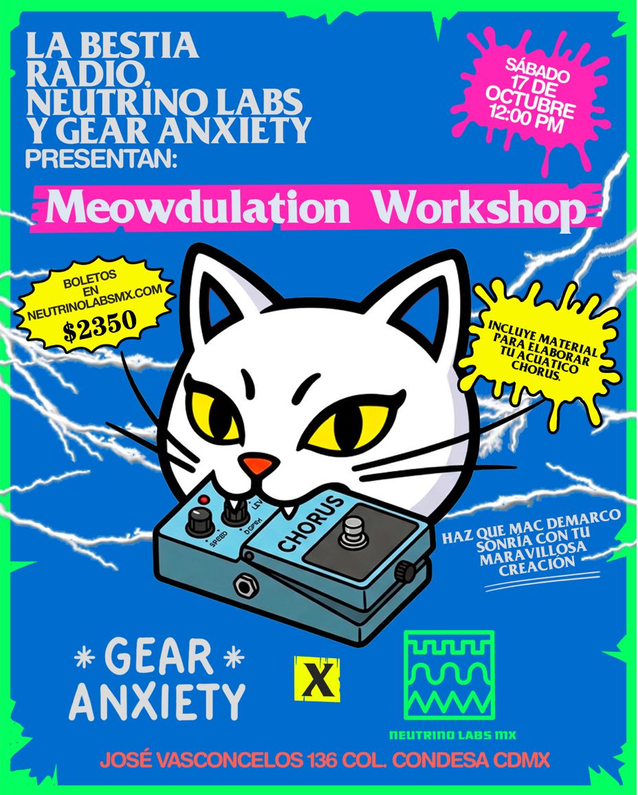 ¡MEOWDULATION WORKSHOP!