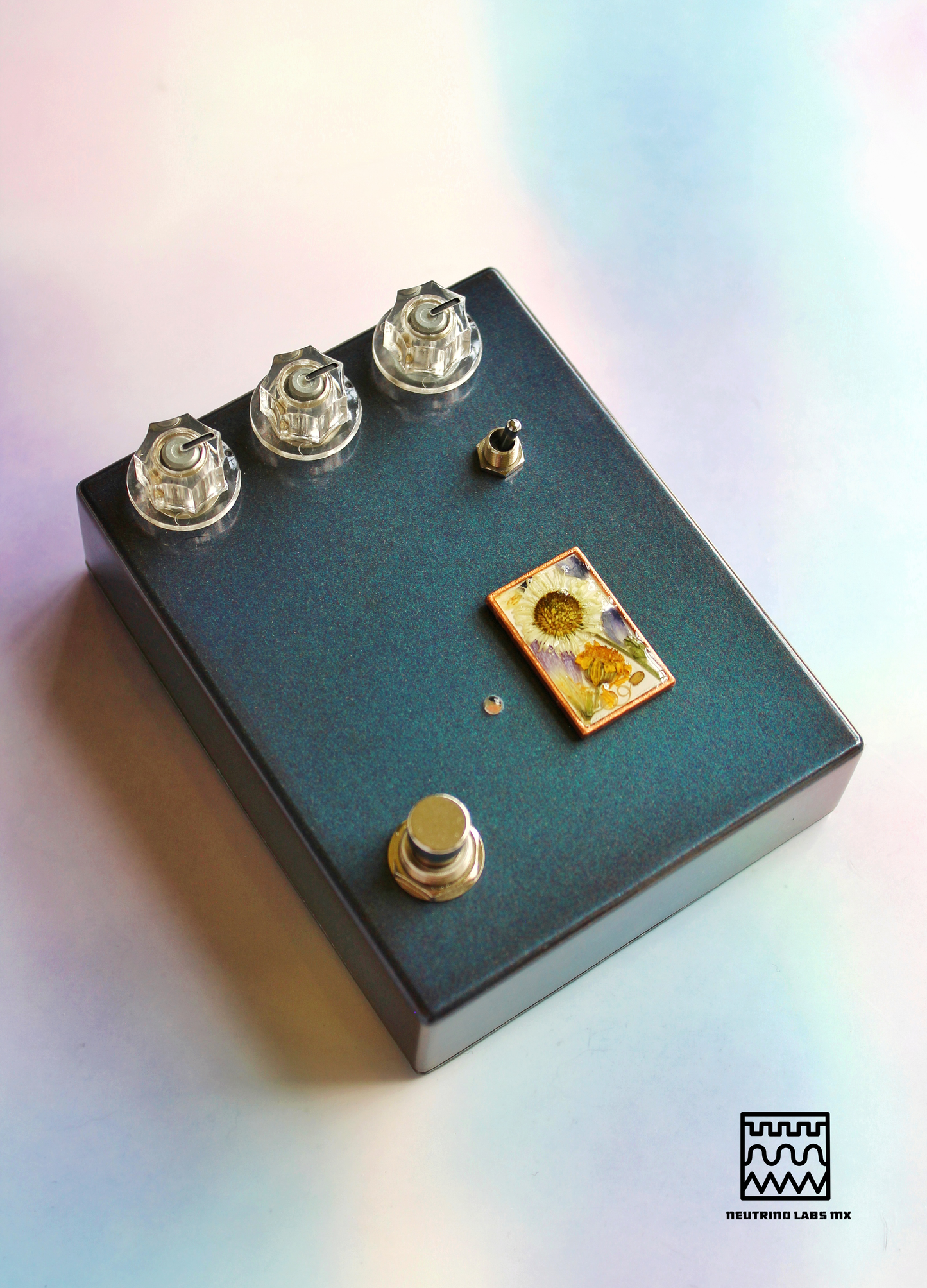 HOJAS CAEN- REVERB/DRIVE