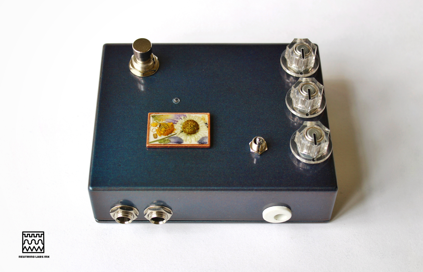 HOJAS CAEN- REVERB/DRIVE