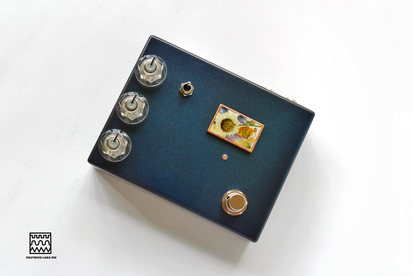 HOJAS CAEN- REVERB/DRIVE