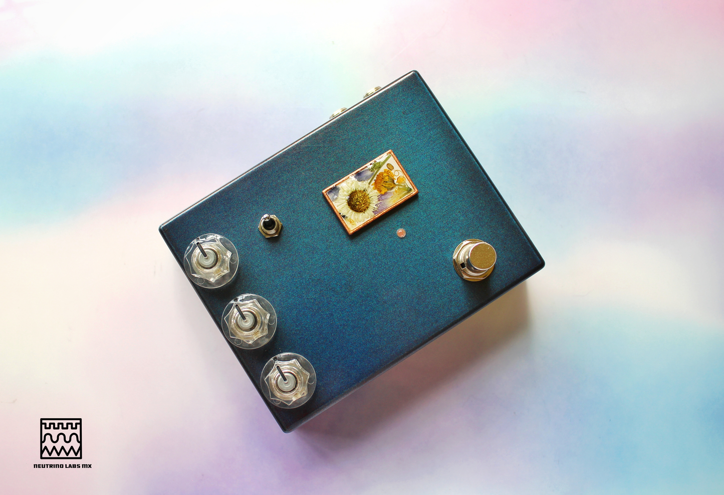 HOJAS CAEN- REVERB/DRIVE