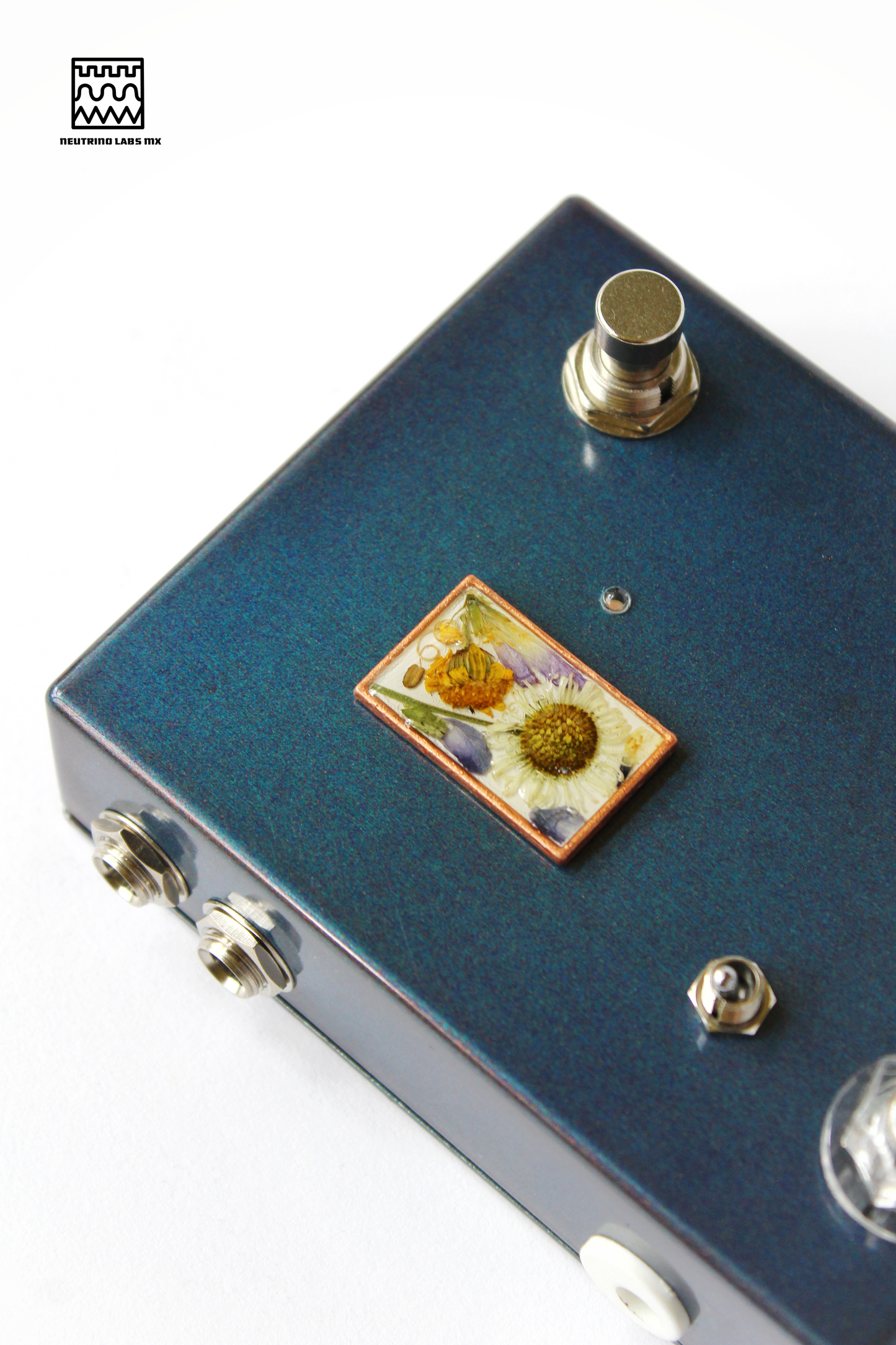 HOJAS CAEN- REVERB/DRIVE