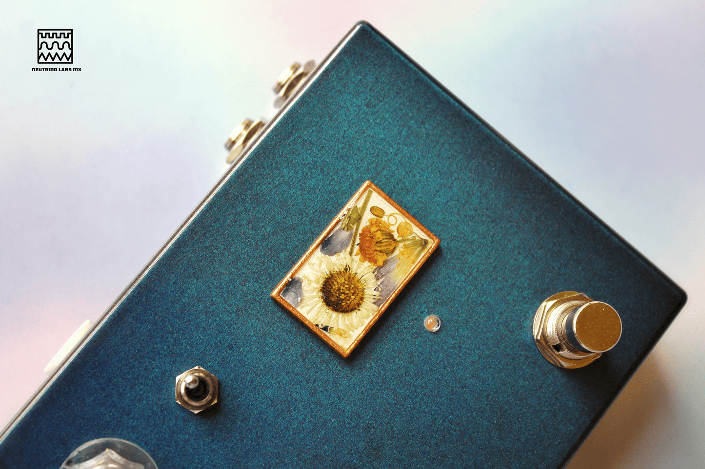 HOJAS CAEN- REVERB/DRIVE