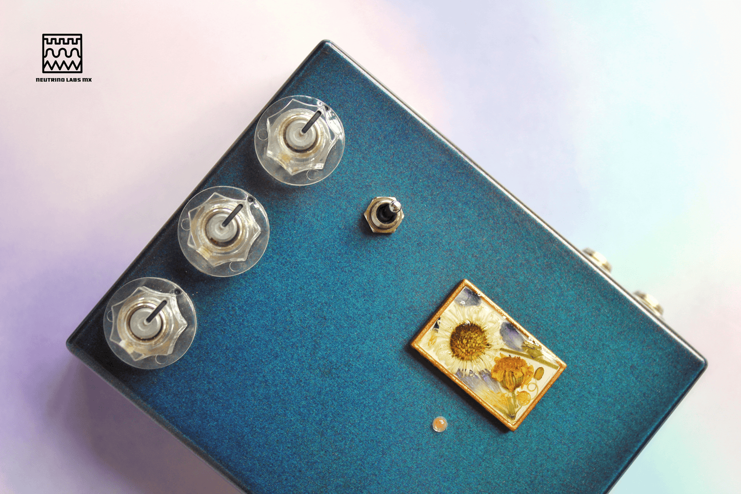 HOJAS CAEN- REVERB/DRIVE