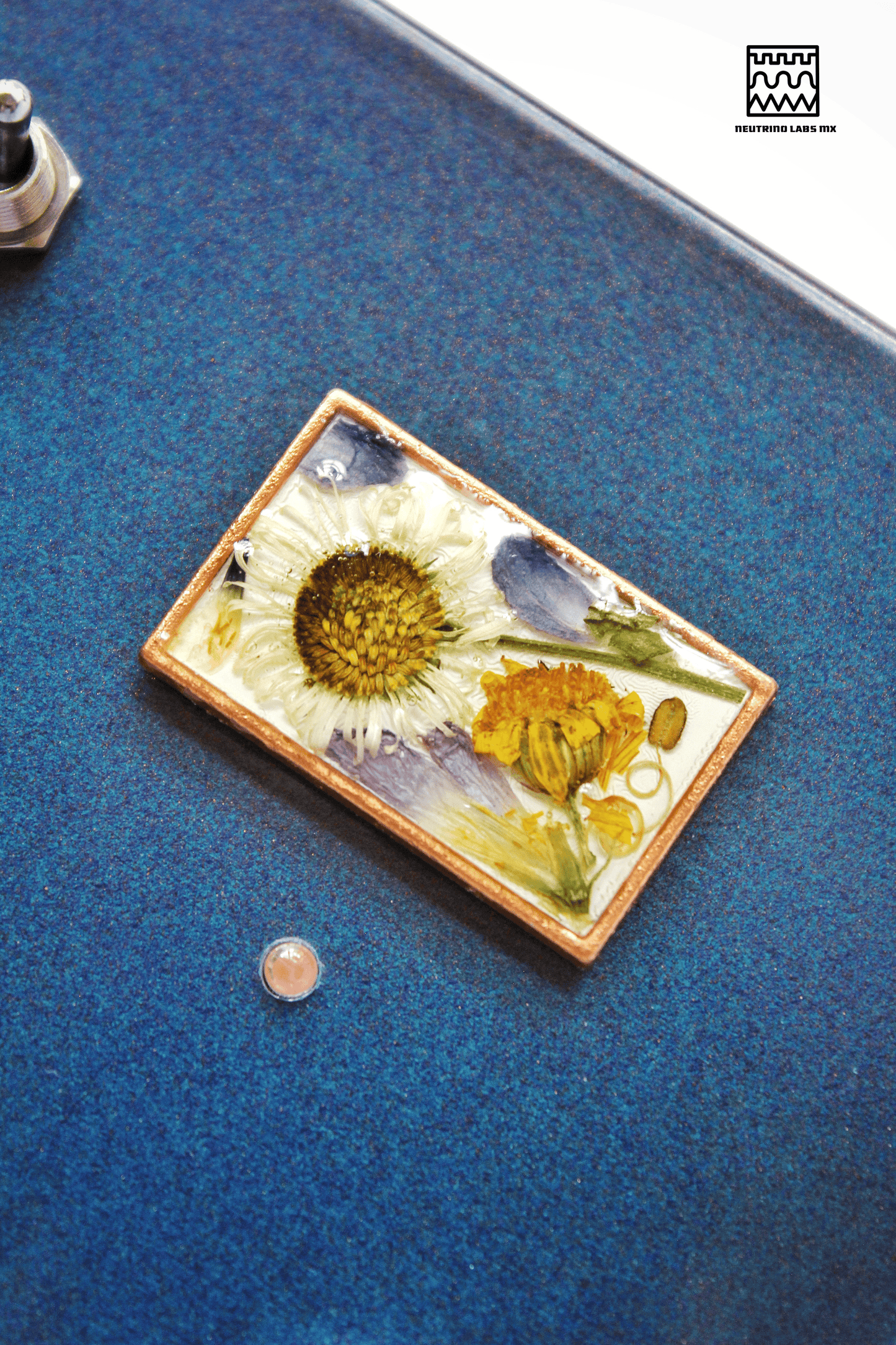 HOJAS CAEN- REVERB/DRIVE